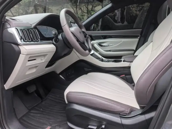 BYD Song PLUS EV 2025 Model 520KM Luxury Model – фото 8