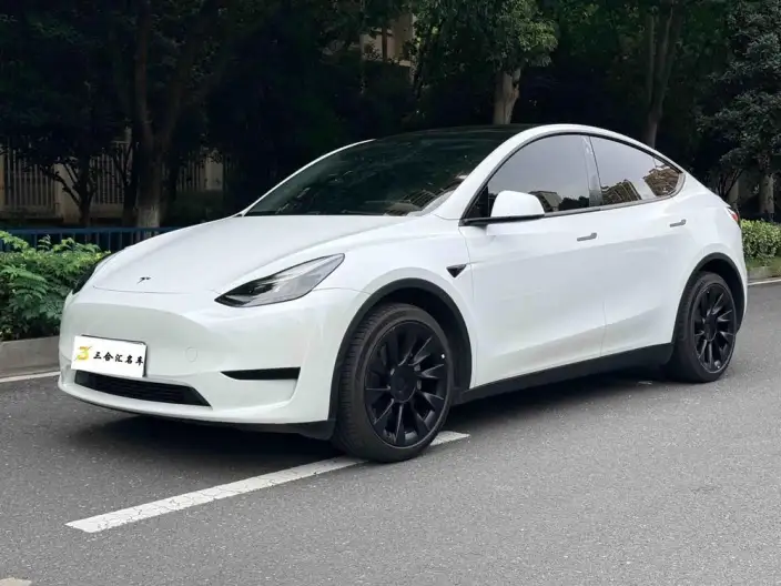 Model Y 2022 Model Rear-wheel drive version – фото 1