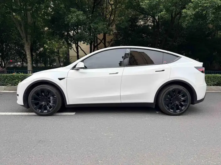 Model Y 2022 Model Rear-wheel drive version – фото 3
