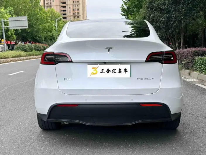 Model Y 2022 Model Rear-wheel drive version – фото 4