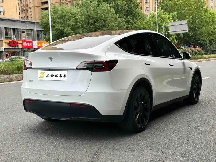Model Y 2022 Model Rear-wheel drive version – фото 5