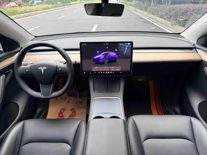 Model Y 2022 Model Rear-wheel drive version – фото 9