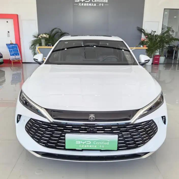 QinL DM 2025 Model Smart Driving Edition DM-i 120KM Leading Model – фото 2