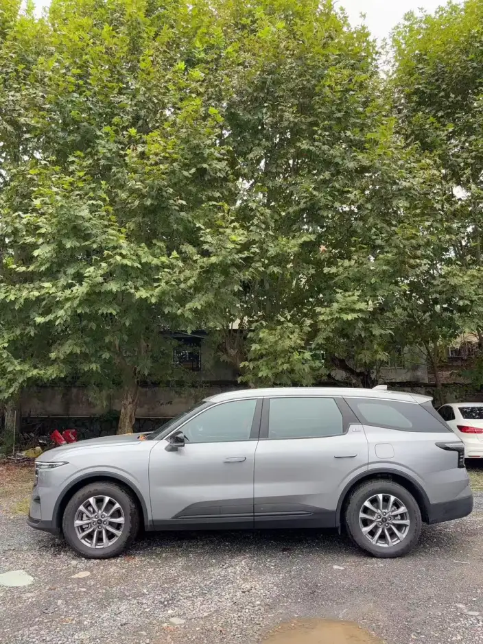 Ford Edge 2025 Model Ford Edge L 2.0T EcoBoost E Hybrid 2WD VII seat Fashion Model