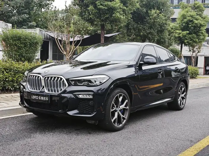 BMW X6 2021 Model 3.0T Automatic 4WD 5 seat Parallel Imported – фото 1