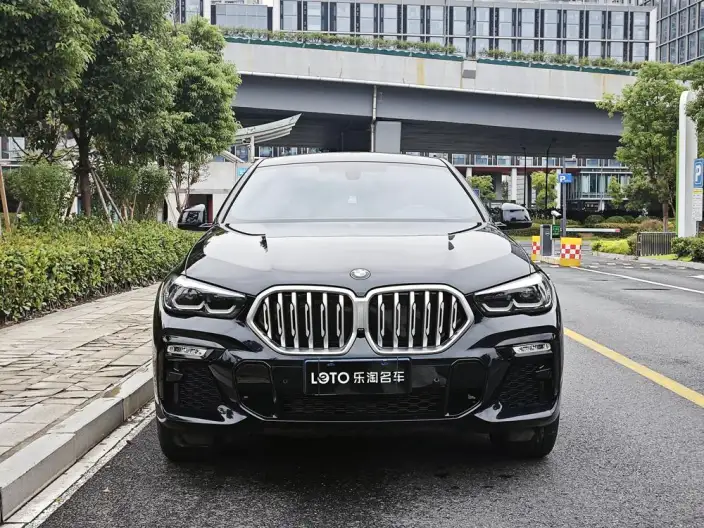 BMW X6 2021 Model 3.0T Automatic 4WD 5 seat Parallel Imported – фото 2