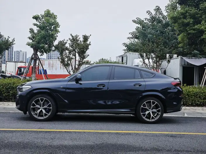 BMW X6 2021 Model 3.0T Automatic 4WD 5 seat Parallel Imported – фото 4