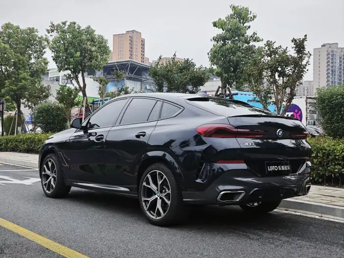 BMW X6 2021 Model 3.0T Automatic 4WD 5 seat Parallel Imported – фото 5
