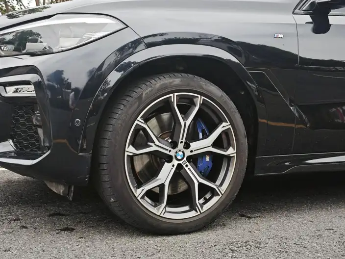 BMW X6 2021 Model 3.0T Automatic 4WD 5 seat Parallel Imported – фото 8