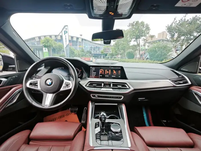 BMW X6 2021 Model 3.0T Automatic 4WD 5 seat Parallel Imported – фото 9
