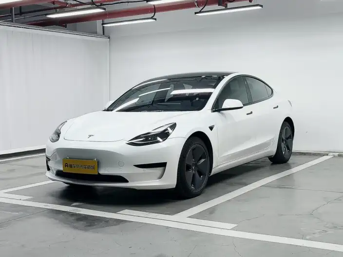 Model 3 2021 Model Standard Battery Life Rear Drive L Class Edition 3D6 – фото 1