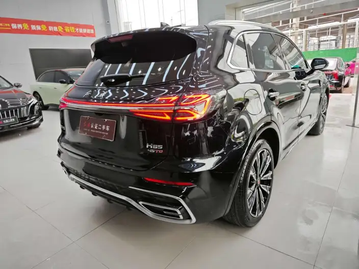 Hongqi HS5 2023 Model 2.0T Flag Ling Pro Edition – фото 5
