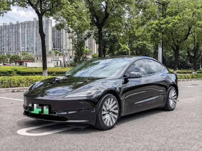 Model 3 2023 Model Long Battery Life Pro All-wheel drive version – фото 1