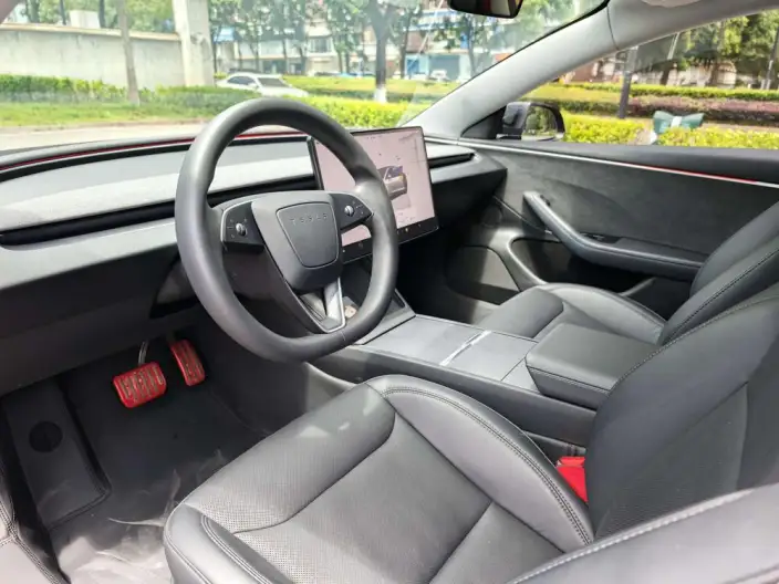 Model 3 2023 Model Long Battery Life Pro All-wheel drive version – фото 10
