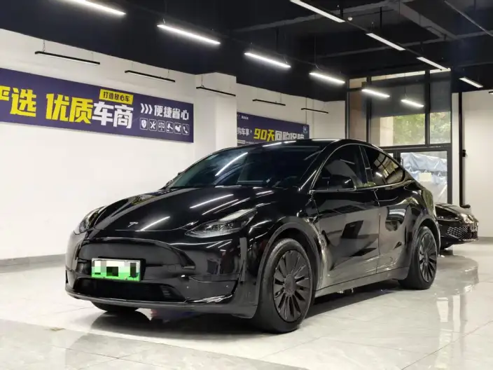 Model Y 2023 Model Rear-wheel drive version – фото 1