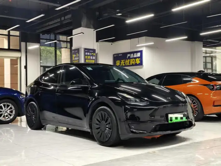 Model Y 2023 Model Rear-wheel drive version – фото 3