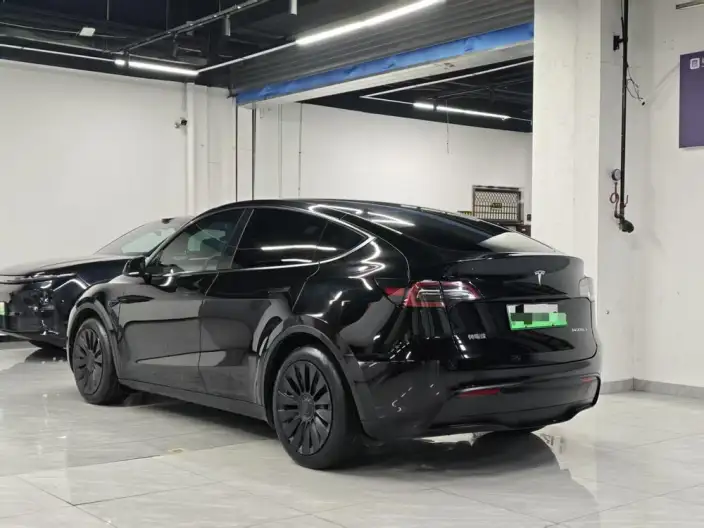 Model Y 2023 Model Rear-wheel drive version – фото 4