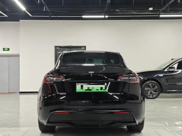 Model Y 2023 Model Rear-wheel drive version – фото 5