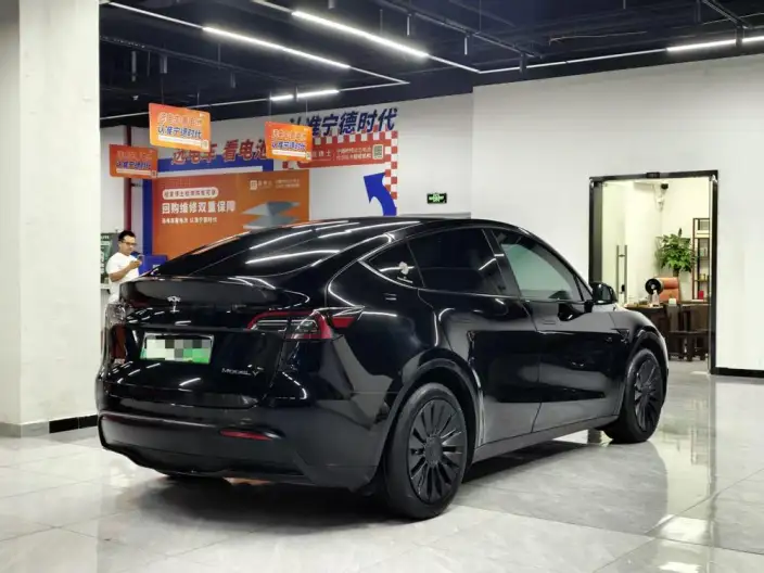 Model Y 2023 Model Rear-wheel drive version – фото 6