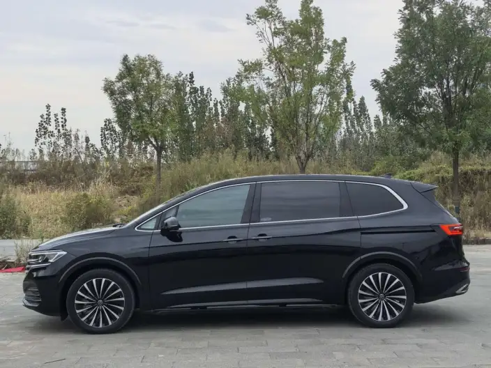 Viloran 2024 Model 380TSI Premium Edition – фото 4