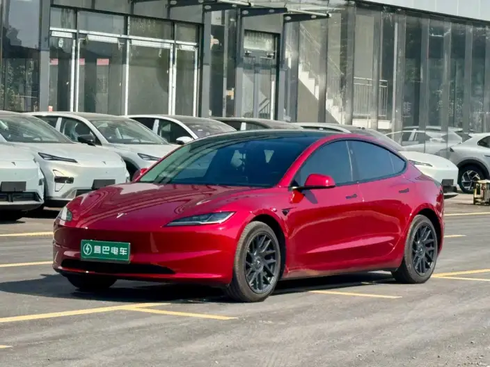 Model 3 2023 Model Long Battery Life Pro All-wheel drive version – фото 1