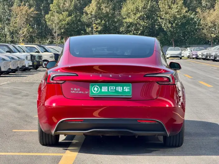 Model 3 2023 Model Long Battery Life Pro All-wheel drive version – фото 6