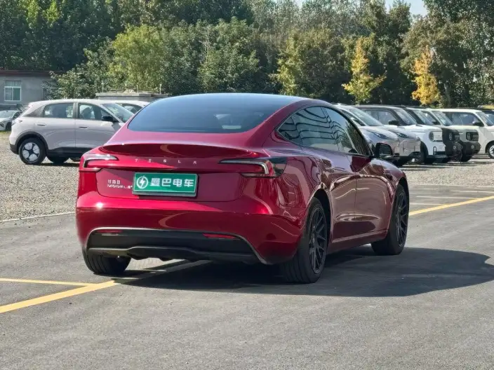Model 3 2023 Model Long Battery Life Pro All-wheel drive version – фото 7