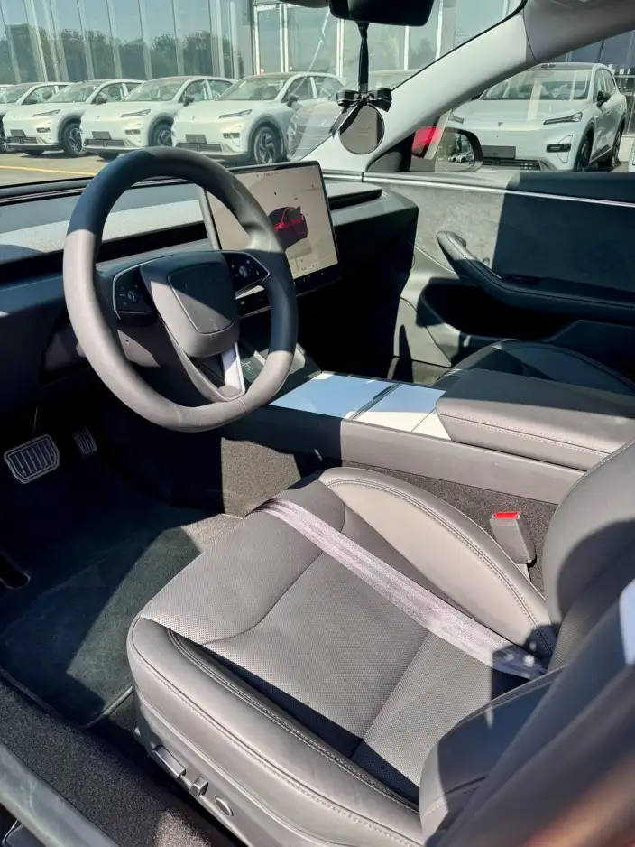 Model 3 2023 Model Long Battery Life Pro All-wheel drive version – фото 9