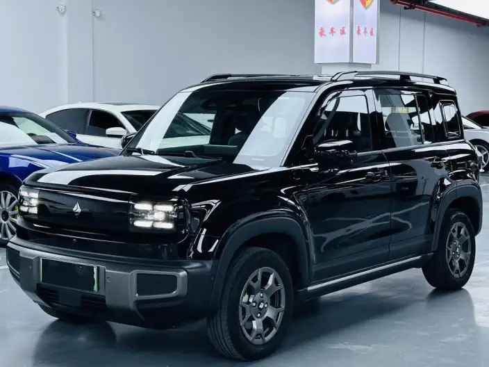 Yueye Plus 2026 Model 501km Zhizun Edition