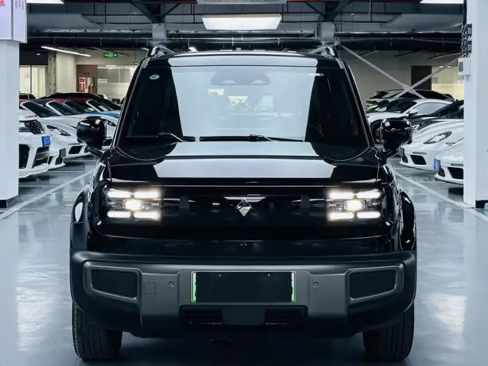 Yueye Plus 2026 Model 501km Zhizun Edition