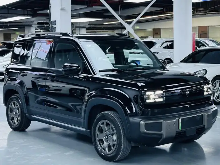 Yueye Plus 2026 Model 501km Zhizun Edition