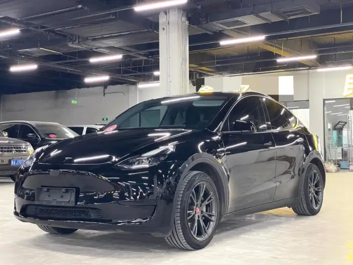 Model Y 2023 Model Rear-wheel drive version – фото 1