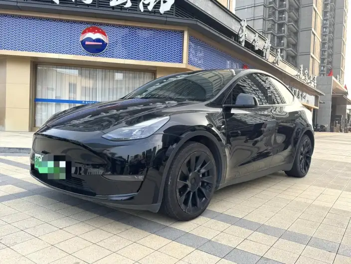 Model Y 2021 Model Standard Battery Life Rear-wheel drive version – фото 1