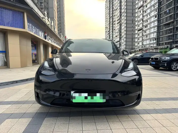 Model Y 2021 Model Standard Battery Life Rear-wheel drive version – фото 2