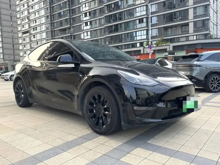 Model Y 2021 Model Standard Battery Life Rear-wheel drive version – фото 3