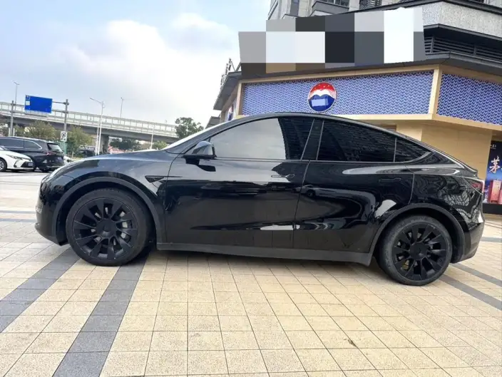 Model Y 2021 Model Standard Battery Life Rear-wheel drive version – фото 4