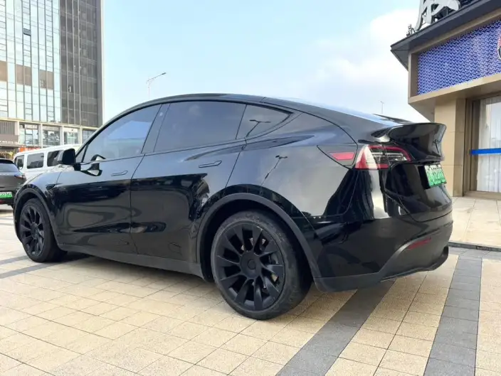 Model Y 2021 Model Standard Battery Life Rear-wheel drive version – фото 5