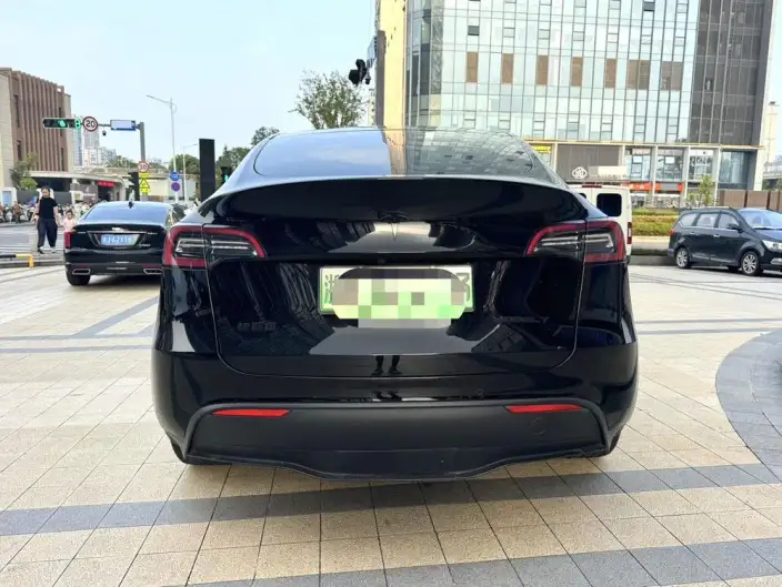 Model Y 2021 Model Standard Battery Life Rear-wheel drive version – фото 6