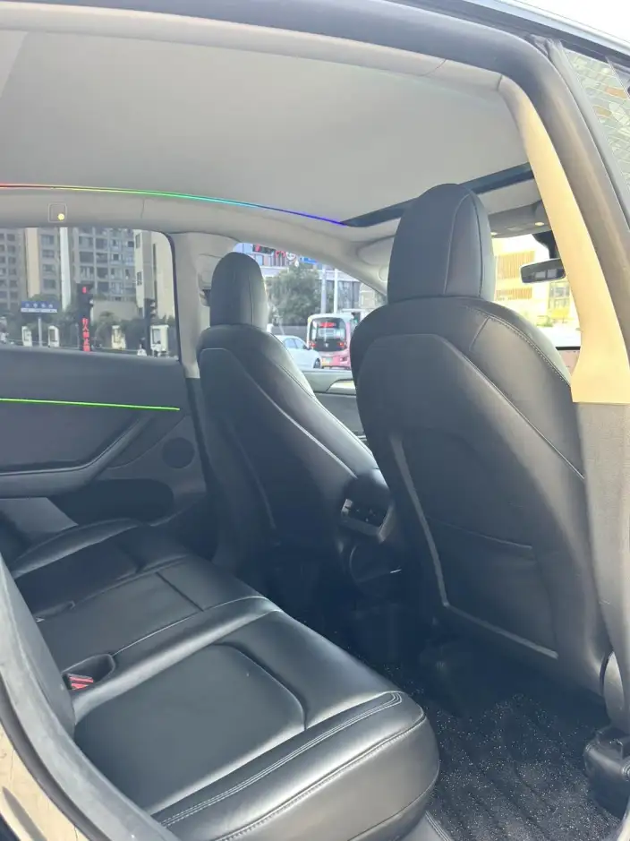Model Y 2021 Model Standard Battery Life Rear-wheel drive version – фото 8