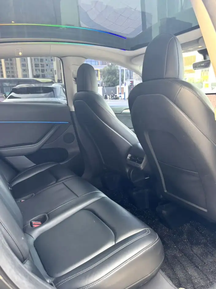 Model Y 2021 Model Standard Battery Life Rear-wheel drive version – фото 9