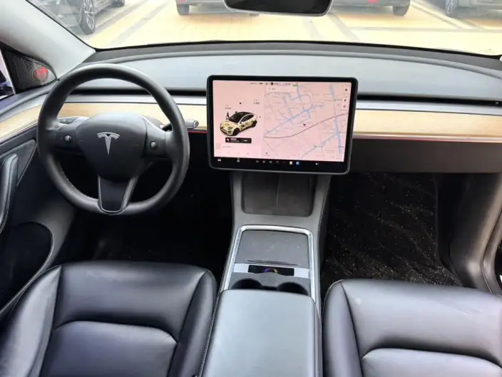 Model Y 2021 Model Standard Battery Life Rear-wheel drive version – фото 10