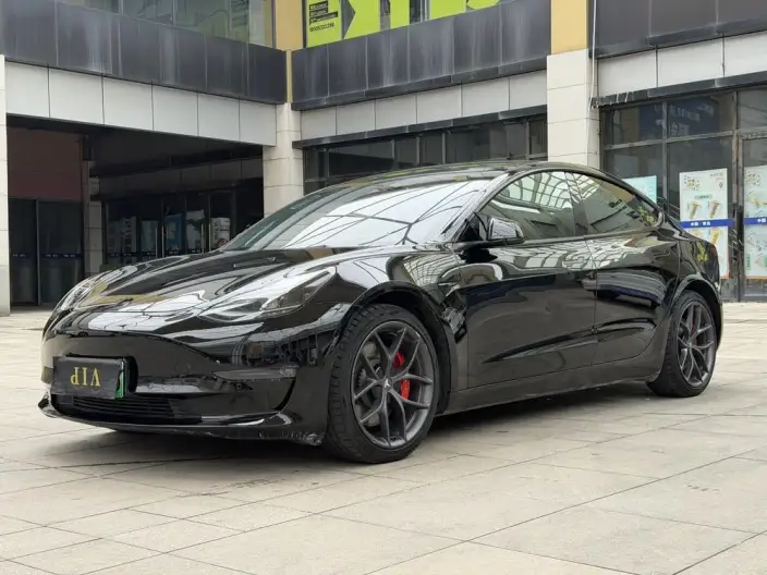 Model 3 2021 Model Performance High performance All-wheel drive version – фото 1