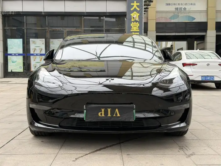 Model 3 2021 Model Performance High performance All-wheel drive version – фото 2