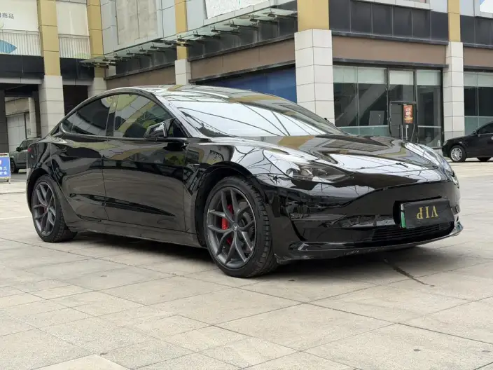 Model 3 2021 Model Performance High performance All-wheel drive version – фото 3