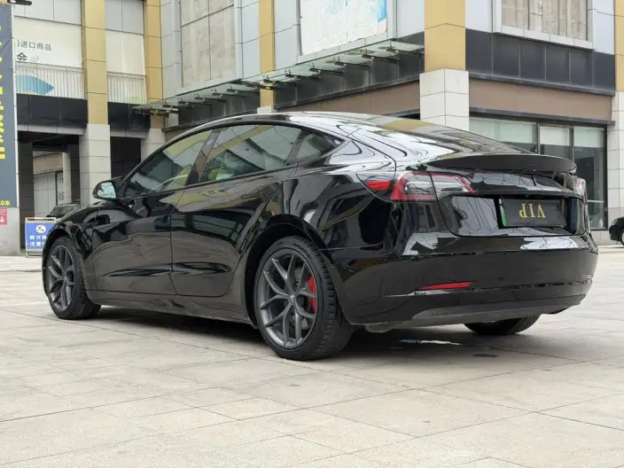 Model 3 2021 Model Performance High performance All-wheel drive version – фото 4