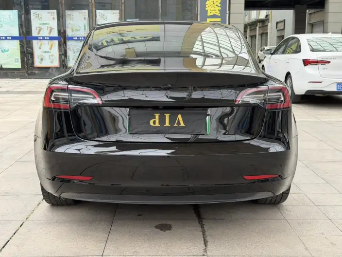 Model 3 2021 Model Performance High performance All-wheel drive version – фото 5