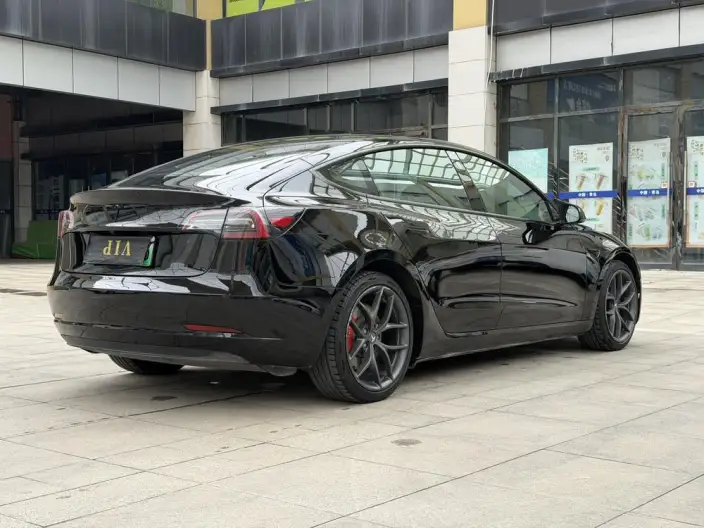 Model 3 2021 Model Performance High performance All-wheel drive version – фото 6