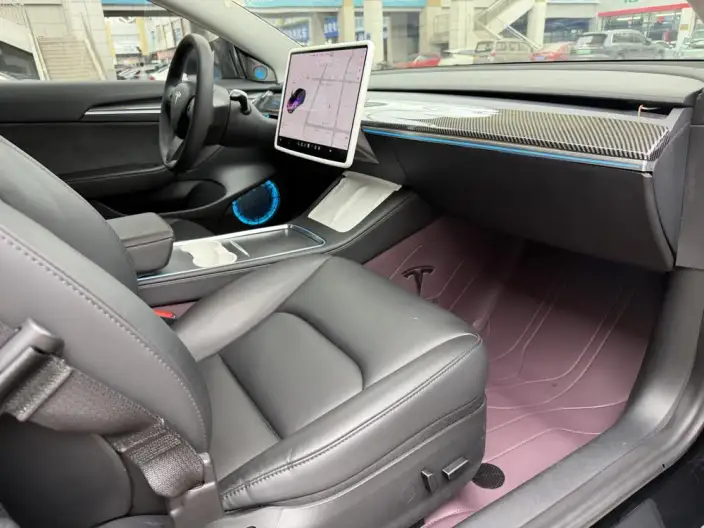 Model 3 2021 Model Performance High performance All-wheel drive version – фото 8