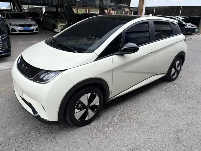 BYD Dolphin 2023 Model Fashion Edition – фото 1