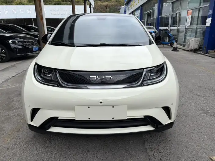 BYD Dolphin 2023 Model Fashion Edition – фото 2